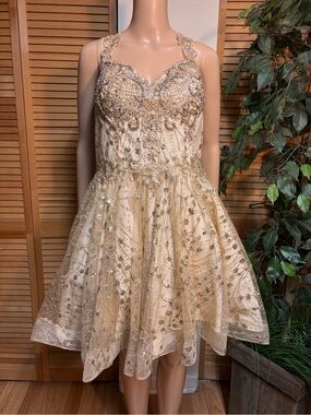Fiesta Fashion Quinceañera Dress